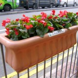 廣東護欄隔離玻璃鋼花盆