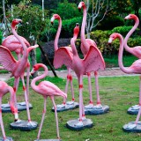 臺灣玻璃鋼園林動物雕塑