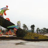 廣場鳳凰景觀綠雕