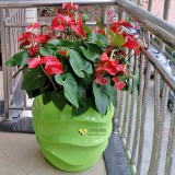 玻璃鋼波紋創(chuàng)意花盆