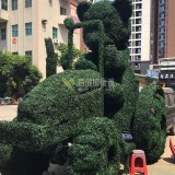 拖拉機造型綠雕