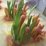 臺(tái)灣玻璃鋼水草海洋主題雕塑