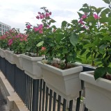 玻璃鋼護(hù)欄花盆雙懸掛提升深圳坪山園林道路景觀