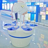 玻璃鋼人體大腦結(jié)構(gòu)模型